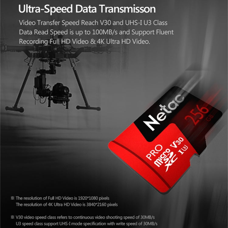 بطاقة ذاكرة TF من Netac P500 PRO سعة 256 جيجابايت، U3، مسجل بيانات سيارة، شاشة، كاميرا، سرعة عالية، بطاقة ذاكرة TF، سعة 256 جيجابايت